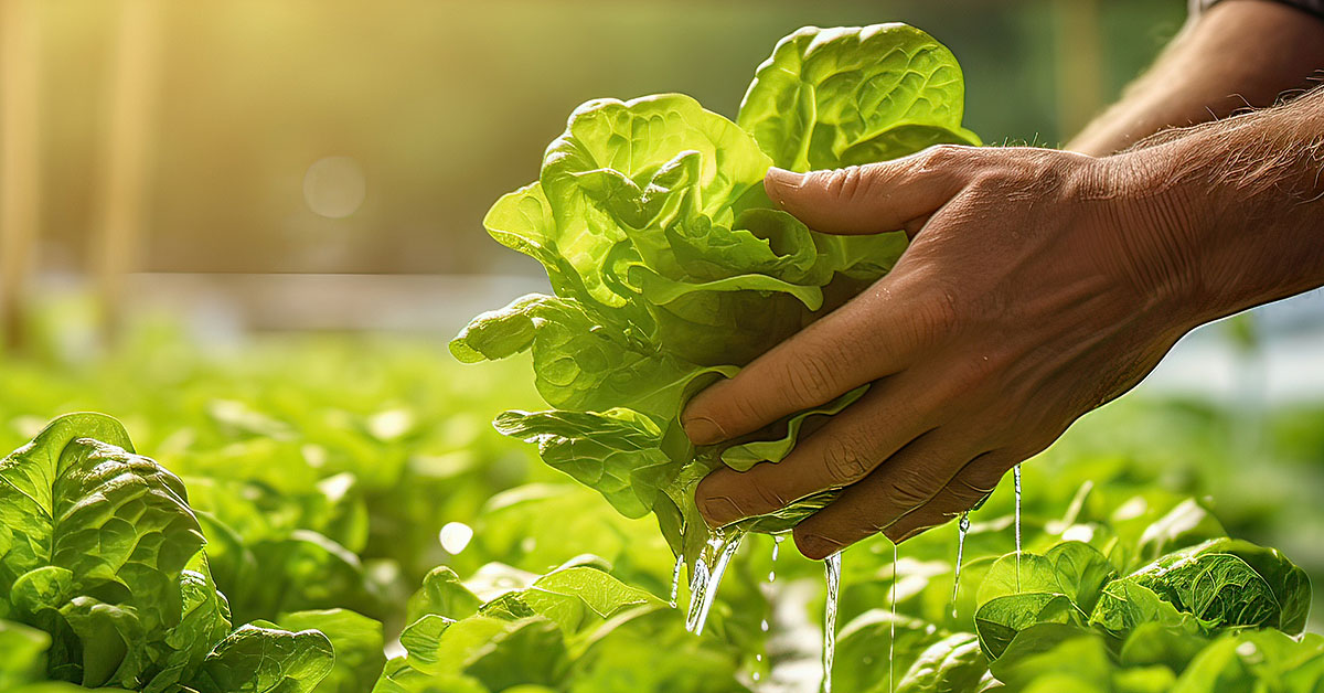 dicas-para-reduzir-a-perda-de-nutrientes-nos-alimentos